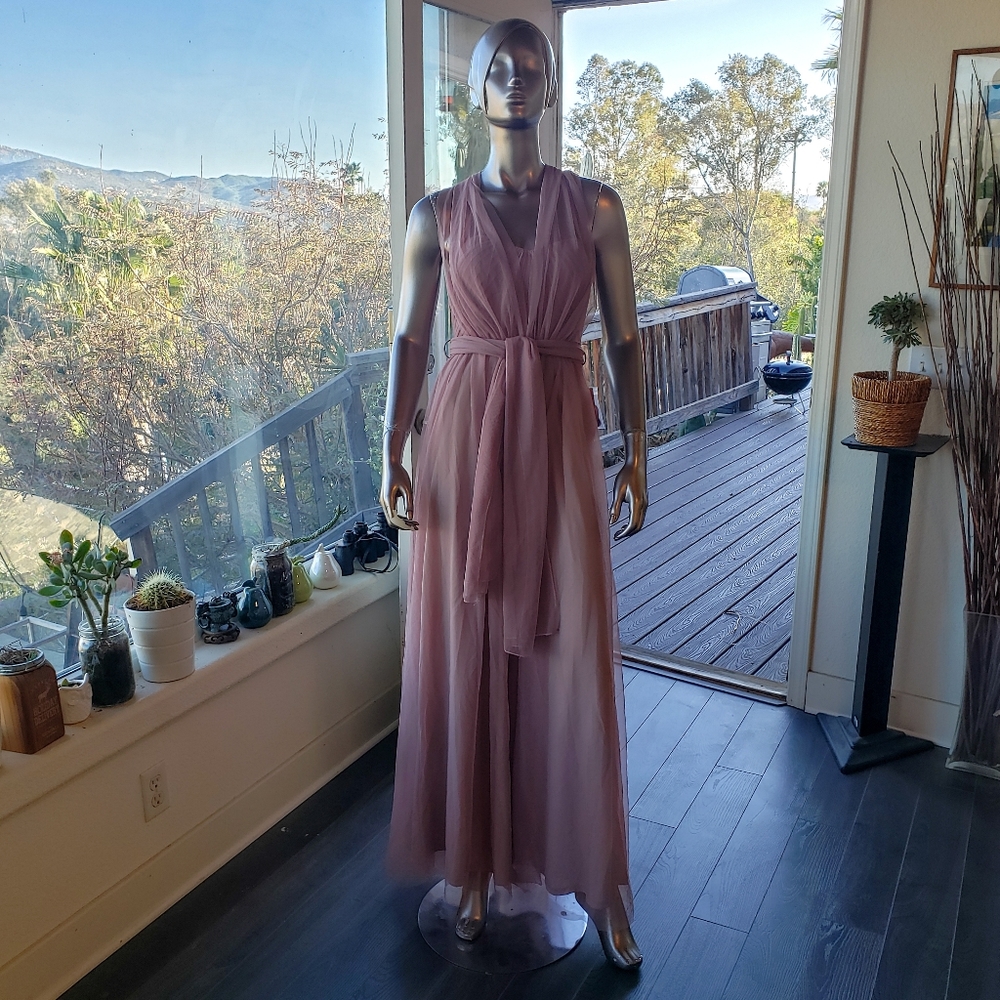 Emily in Paris Inspo: NWT Birdy Grey Christina Convertible Dress